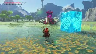 I made a Guardian fly, Zelda botw glitch