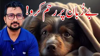 Animals | Birds 🦅 | Dogs 🐕 | Cat 🐈 | Animal Care Vs Muslims !