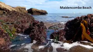 Labrador Bay and Maidencombe Beach
