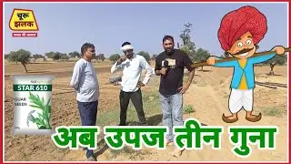 Star Sheeds से किसानों की उपज में तीन गुना तक बढ़ोतरी 🌾