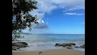 Proyecto en Las Terrenas, Saman&aacute;