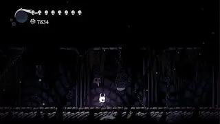 Hollow Knight_20260127103652
