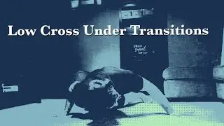 Beginner Ido Portal Exercises| Low Cross Under Transitions