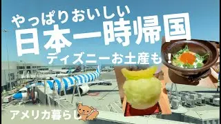 夏だ！日本一時帰国だ！ご飯だ！ディズニーだ！な夏休み！ファンタジースプリングのお土産も！