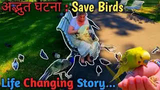 Save Birds😭Short Story in Hindi Motivational Story Story Time by OM Ramdas #shorts #hindistories