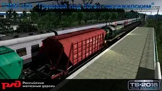 ТЭМ2-491 