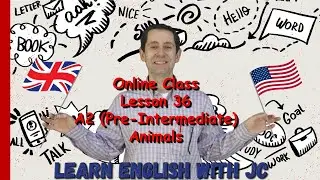 Online #36 - A2 (Pre-Intermediate) Animals