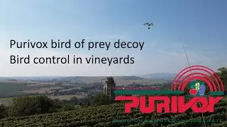Purivox Bird of Prey bird control set XII / Bird Deterrent in Viticulture and Fruit Growing