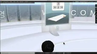Second Life Beginner's Tutorial