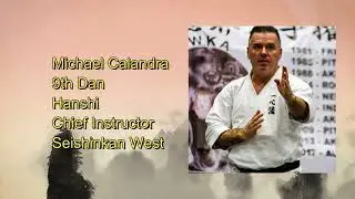 Seisan Kata & Bunkai Michael Calandra 9th Dan Hanshi