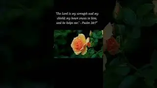 Roses & resilience: embrace life's challenges #blessedmorning #quotesaboutlife