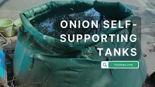 Collapsible Onion Self Supporting Tanks Water Bladder Tank