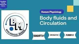 BODY FLUID AND CIRCULATION ONE SHOT||SHORT , EASY , CONSISE | NEET , JENPAS UG , CUET UG , ENTRANCE 
