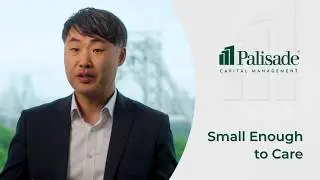 Big Firm vs. Boutique: Choosing the Right Wealth Management Partner | Palisade Capital Management