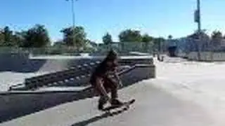 Ghetto bird