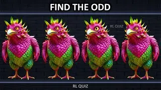 Find the Odd One Out | Find Odd Rooster