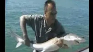 GO ANGLING - 4 min DVD Brochure preview