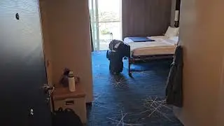 Tour of wheelchair accessible balcony cabin 14860 aboard the Norwegian Bliss.
