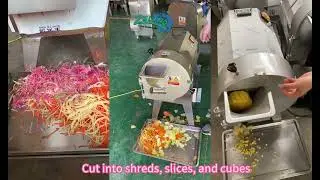 Multi-function vegetable cutter machine for cutting slice, dice and section