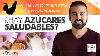 ¿Hay azúcares saludables? El gallo que no cesa (RNE) - Programa 13