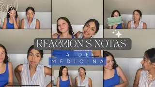 Notas de 4 de medicina UAB// REACCIÓN NOTAS