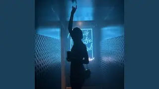 Shake The Night