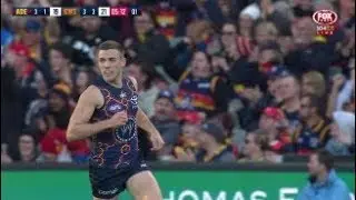 Highlights R11: Stellar finish from Seedsman