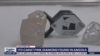 Розовый бриллиант весом 170 карат найден в Анголе, Африка | FOX 13 Сиэтл