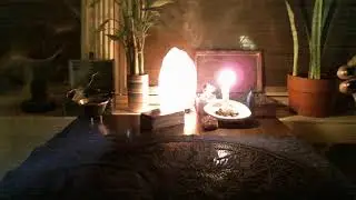 What Happened To Heidi Planck And Her Dog? | Intuitive Psychic Tarot Reading