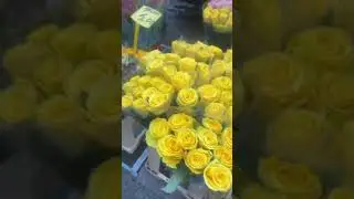BANGLA PARBON বাংলা পার্বন  is liveশুভ বিকেল 🌺🌺🌺🌺