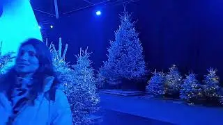 Amsterdam Winter Paradijs 2024 |Skating Paradijs |Snow paradijs|lichts paradijs
