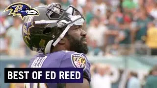 Ed Reed's Ultimate Career Highlights | Baltimore Ravens