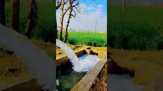 village natural beauty in Pakistan 😍❤️ #village #villagelife