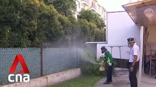 Dengue cases expected to rise in next few weeks and peak around August