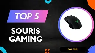 Les 5 Meilleur Souris Gaming 2025 - Top Souris Gaming Test - (Les Prix Les Plus Bas)