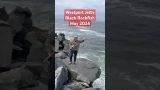Westport Jetty - Black Rockfish (May 2024) #fishwashington #westport #blackrockfish #jettyfishing