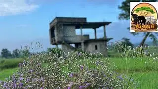 Kyash agro ceylon @ caravan Life with wife 