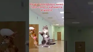 Этот звук слышали все школьники 😅 #прикол #смешно #рек #вреки #шортс #коротко