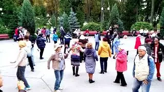 539