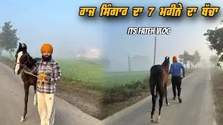 ਰਾਜ ਸ਼ਿੰਗਾਰ ਦਾ ਲਿਆਂਦਾ ਬੱਚਾ | Its Fateh Vlog | New Punjabi Vlog | Punjabi Vlogger 