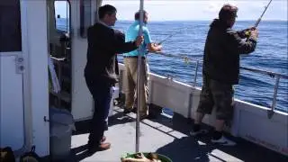 sea fishing hartlepool