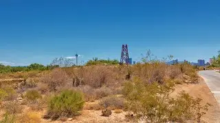 Habitat Restoration at the Las Vegas Springs Preserve