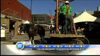 Draft Horse Town 4 - July 10th