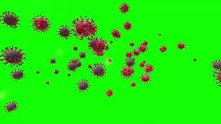 Corona virus spread Green screen effect