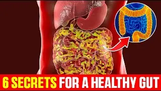 6 Gut Health Rules Everyone Should Know Going Into 2026