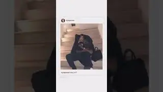 kylie Jenner is pregnant with 2nd baby