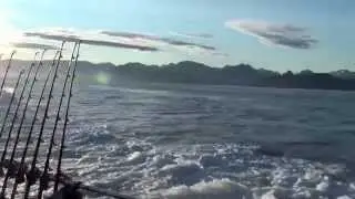 Halibut Fishing / Homer, Alaska