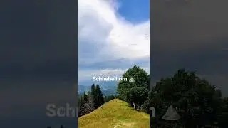 Very underrated hike in Z&uuml;rich Switzerland 🇨🇭 #switzerland #shorts