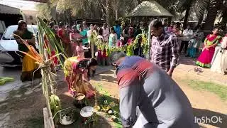 Pongal Celebration ATS 2026 | Al Ahsa Tamil Sangam | Traditional Tamil Festival
