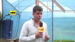 Instalaciones para forraje hidropónico